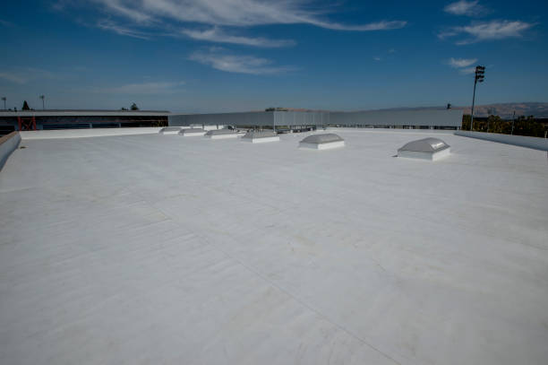 Best Roof Coating and Sealing  in Wink, TX
