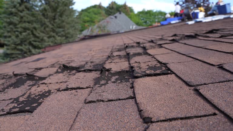 Best Asphalt Shingles Roofing  in Wink, TX