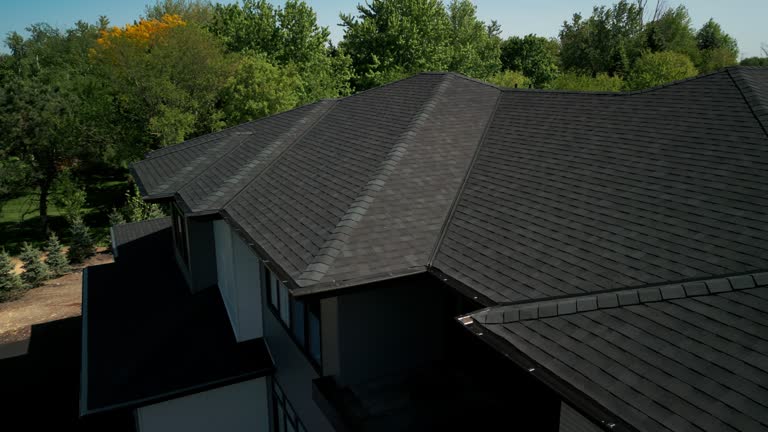 Best Sheet Metal Roofing  in Wink, TX