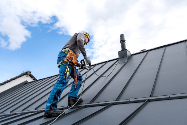 Best Skylight Installation and Repair  in Wink, TX