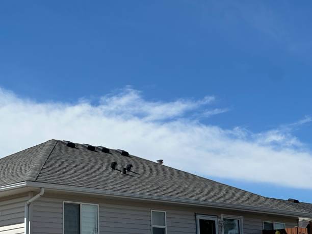 Best Wood Shake Roofing  in Wink, TX